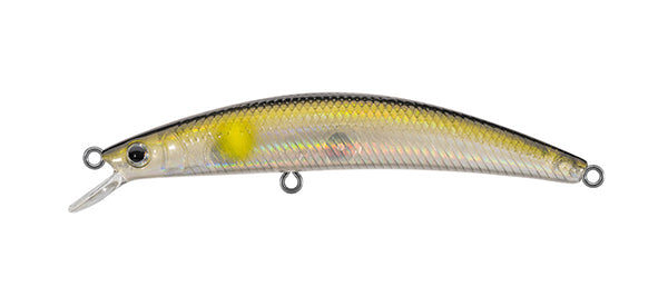 dr fish led lures Dr Minnow – The Hook Up Tackle