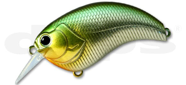 Evoke 2.0 – The Hook Up Tackle