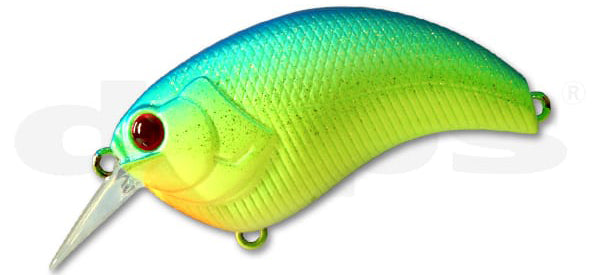 今週の値下げ❗　海水用波 maxspet　Ｇｙｒｅ Summer Cyber Sunday 25% OFF – Page 3 – The Hook Up Tackle
