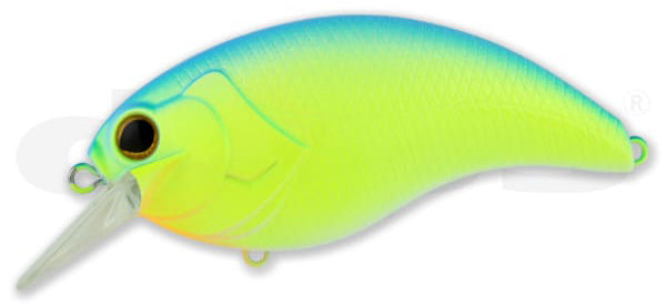 Evoke 4.0 – The Hook Up Tackle