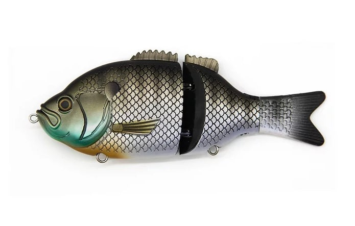 ベイトサニティ/エクスプローラー ギル 6インチ Explorer Gill 6 – The Hook Up Tackle