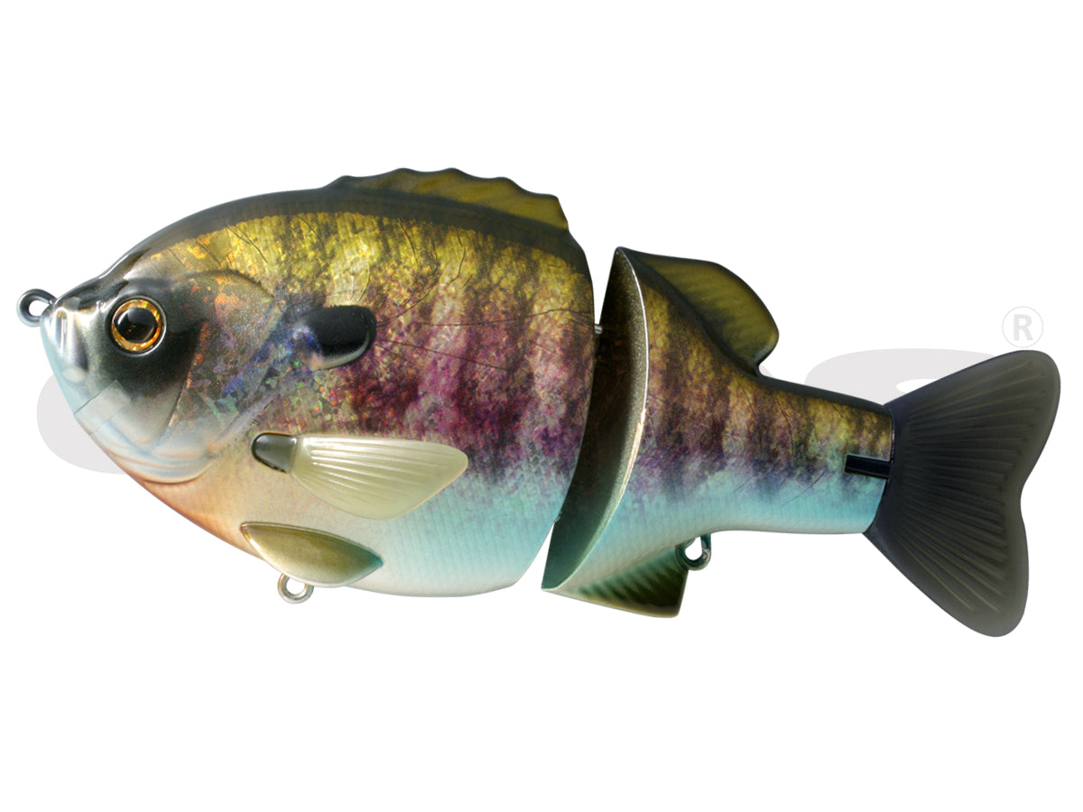 DEPS BULL SHOOTER 160 F Floating NEW - KKJAPANLURE