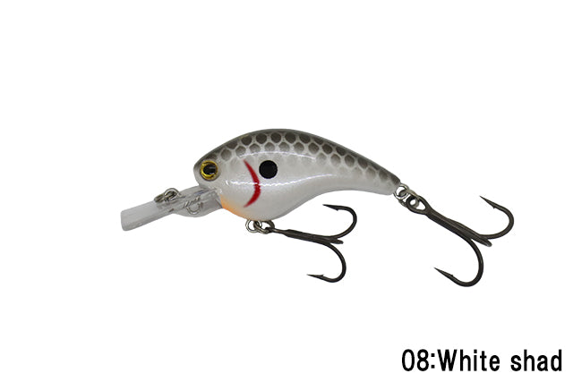 ttt fishing α SHAD 1stロット ShadTeez Slim R 'N R Box - Freshwater Baits | Westin Fishing