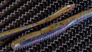 Flirt Worm
