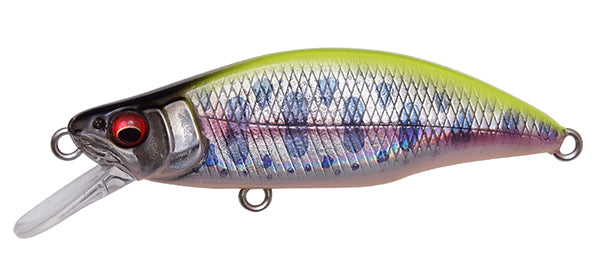 Great Hunting Humpback – The Hook Up Tackle