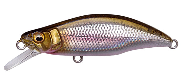 Great Hunting Humpback – The Hook Up Tackle
