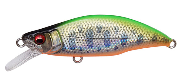 Great Hunting Humpback – The Hook Up Tackle