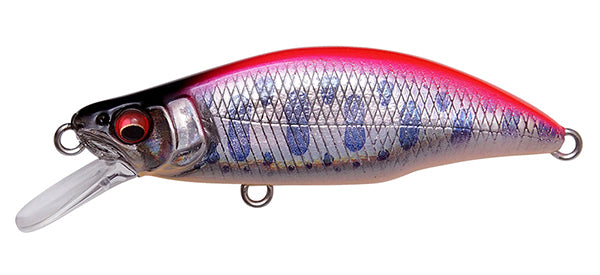 Great Hunting Humpback – The Hook Up Tackle