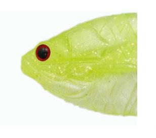 Gill Flat Jr