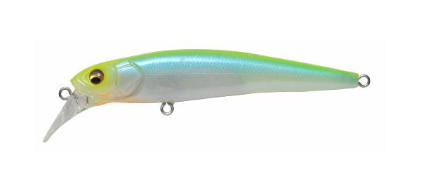 Halibut 90