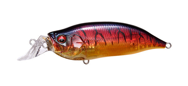 IxI Shad Type-R