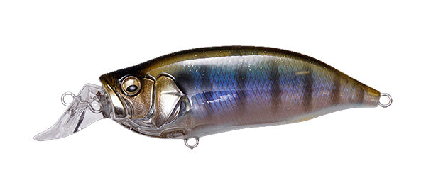 IxI Shad Type-R – The Hook Up Tackle IxI Shad Type-R – The Hook Up Tackle
