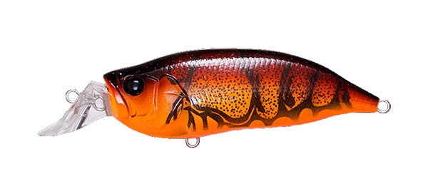 IxI Shad Type-R – The Hook Up Tackle