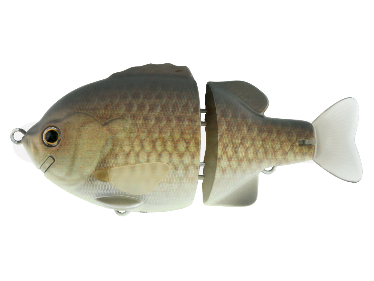 Tiny Bull Shooter – The Hook Up Tackle