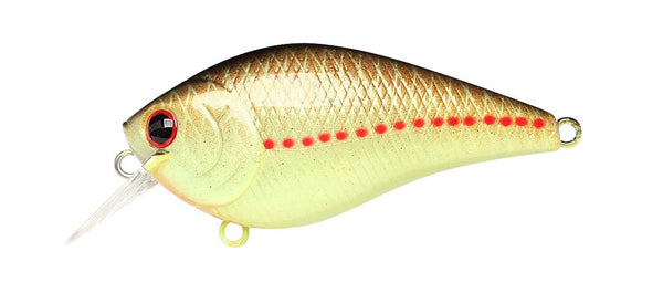 thumbnail image 2 of Lucky Craft LC 2.5 Crankbait – Citrus Citrus Color (428) – Top Quality Freshwater Fishing Lure, Made In Japan 2 of 6