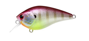 Lucky Craft LC 1.5 Crankbait – 136 To Gill (1 Piece), Japan-Made, 4ft Diving Depth