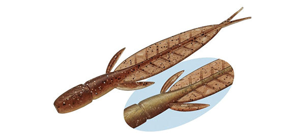 C-4 Leech