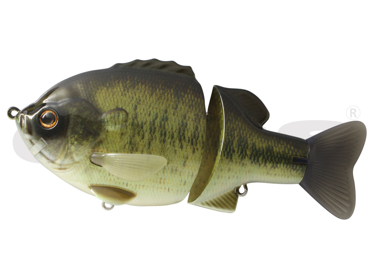 bass shooter lure Bull Shooter 160 Floating – The Hook Up Tackle