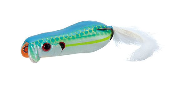 Softshell Showblows Frog – The Hook Up Tackle
