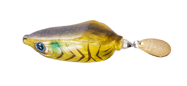 Spintail Frog