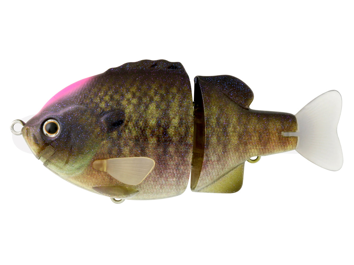 Tiny Bull Shooter – The Hook Up Tackle