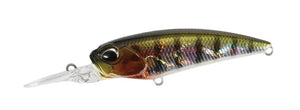 Realis Shad 52MR-SP