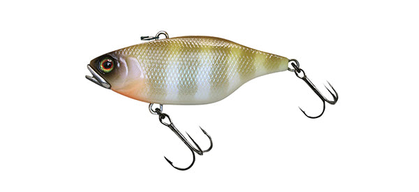 TN60 Skull Shell – The Hook Up Tackle
