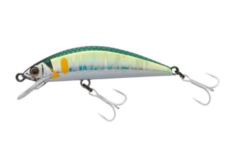 Timon Tricoroll HW – The Hook Up Tackle Timon Tricoroll HW – The Hook Up Tackle