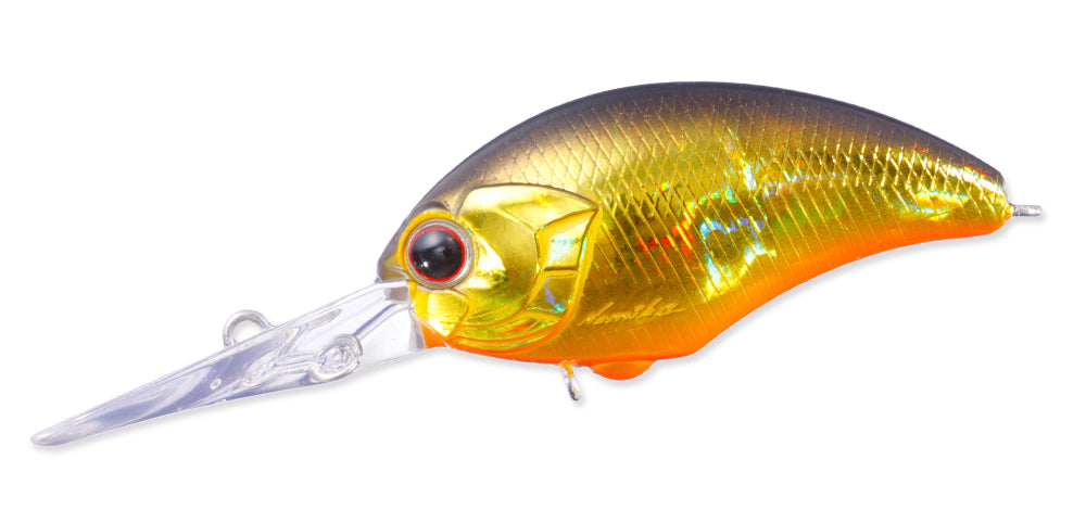 Tiny Blitz DR – The Hook Up Tackle
