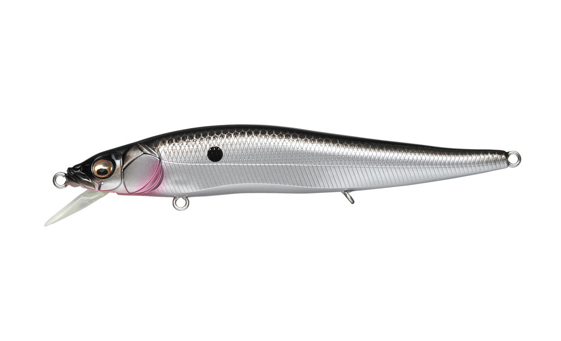 Ito Vision 110 FX Tour Premium – The Hook Up Tackle