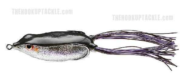Bronzeye Frog