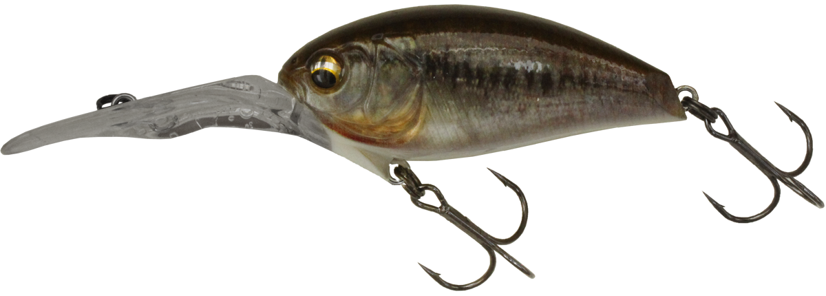 chaos fishing lures IK-300RS Chaos Diver – The Hook Up Tackle