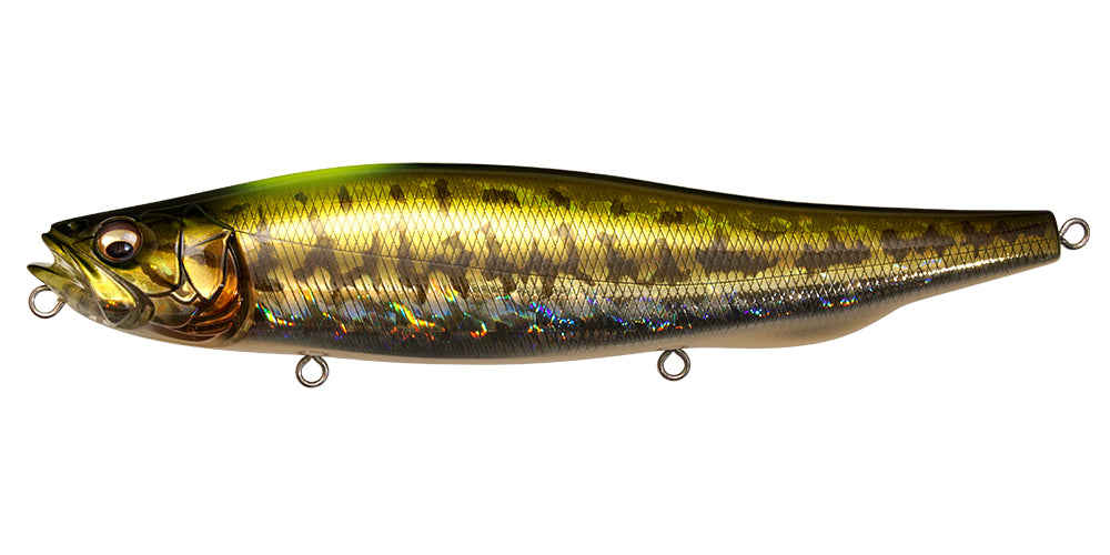 Megabass Megadog X (SP-C)