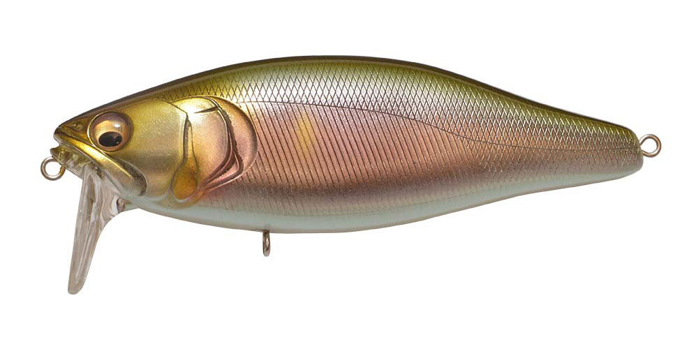FISH ARROW / IT JACK (MEGABASS MODEL) | IchibanTackle.com