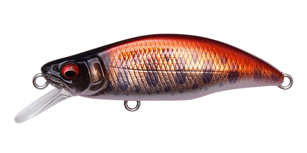 Bass Fishing Lure Review, HawgHunter Series