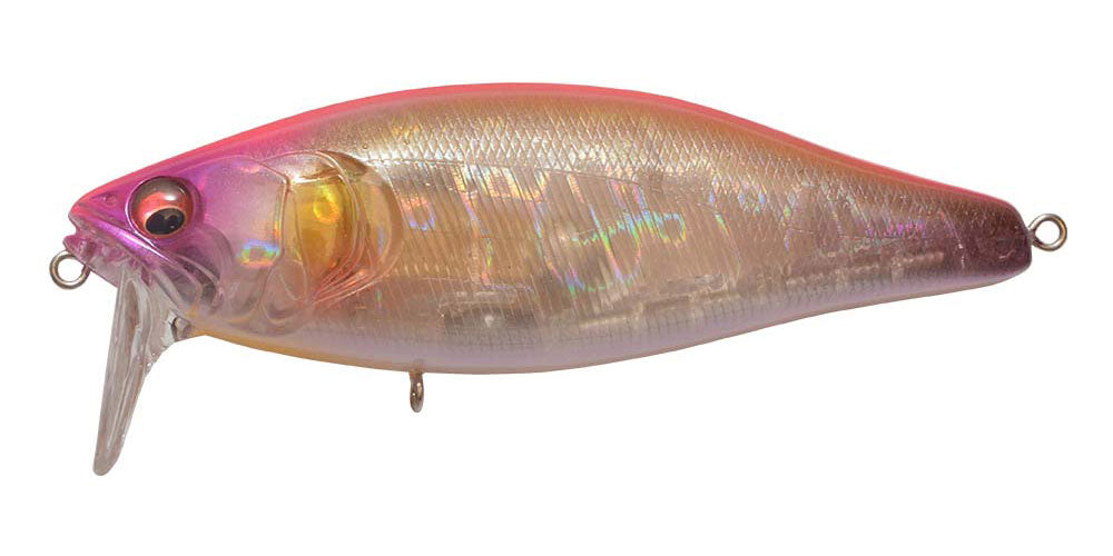 FISH ARROW / IT JACK BABY (MEGABASS MODEL) | IchibanTackle.com