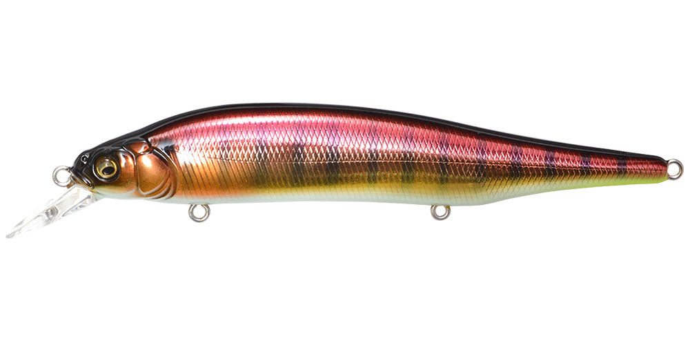 Ito Shiner – The Hook Up Tackle Ito Shiner – The Hook Up Tackle