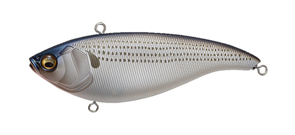 Megabass Konosirus Skeleton Chart Back Konoshiro Megabass Konosirus Skeleton Chart Back Konoshiro